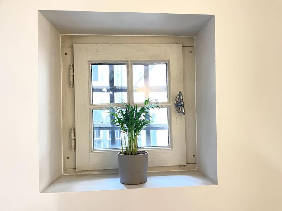Duplex Avec Terrasse En Hypercentre De Grenoble Διαμέρισμα Εξωτερικό φωτογραφία
