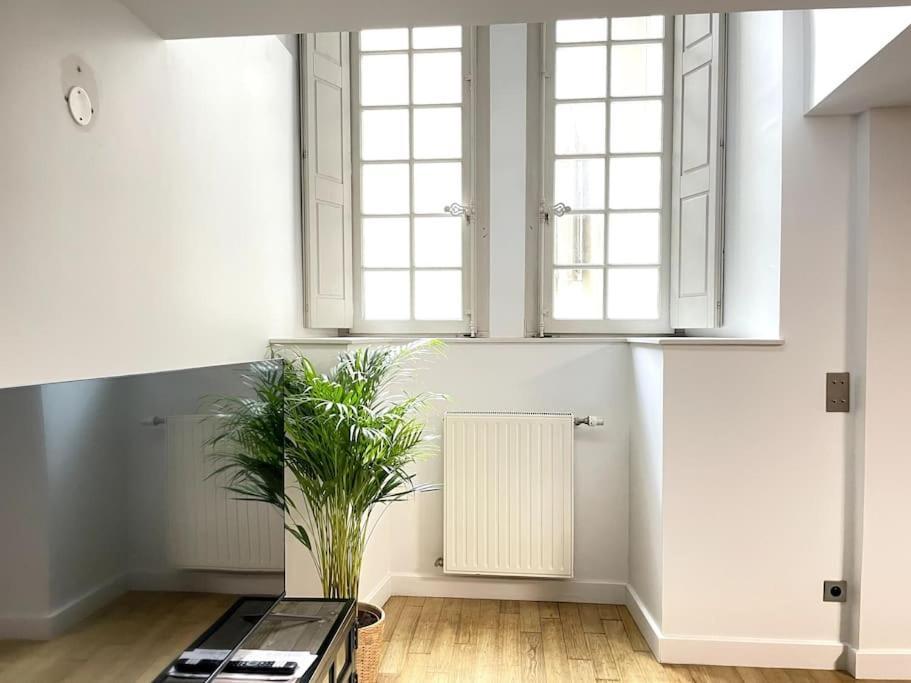 Duplex Avec Terrasse En Hypercentre De Grenoble Διαμέρισμα Εξωτερικό φωτογραφία