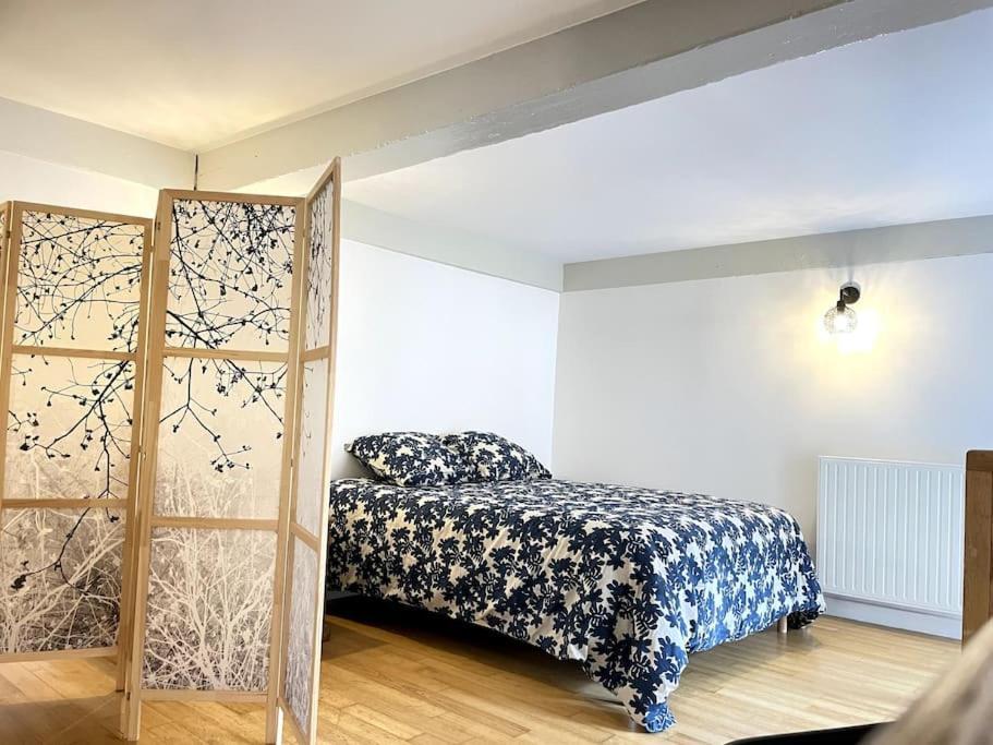 Duplex Avec Terrasse En Hypercentre De Grenoble Διαμέρισμα Εξωτερικό φωτογραφία