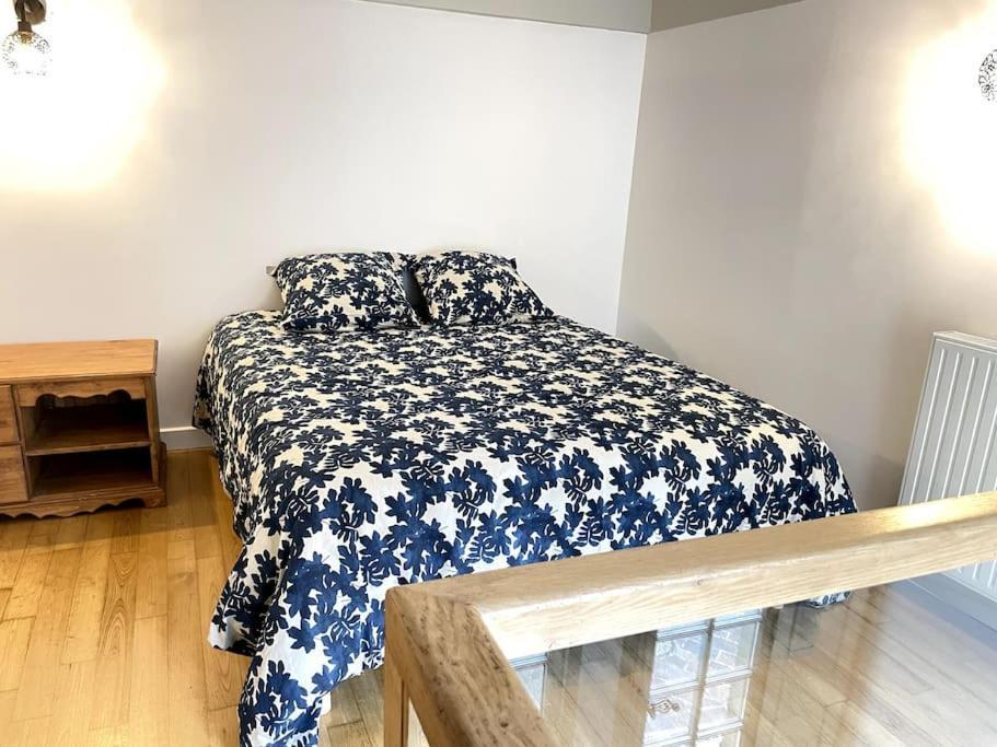 Duplex Avec Terrasse En Hypercentre De Grenoble Διαμέρισμα Εξωτερικό φωτογραφία